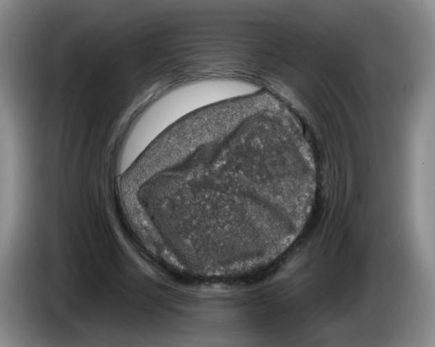 X0000083980634200703091825