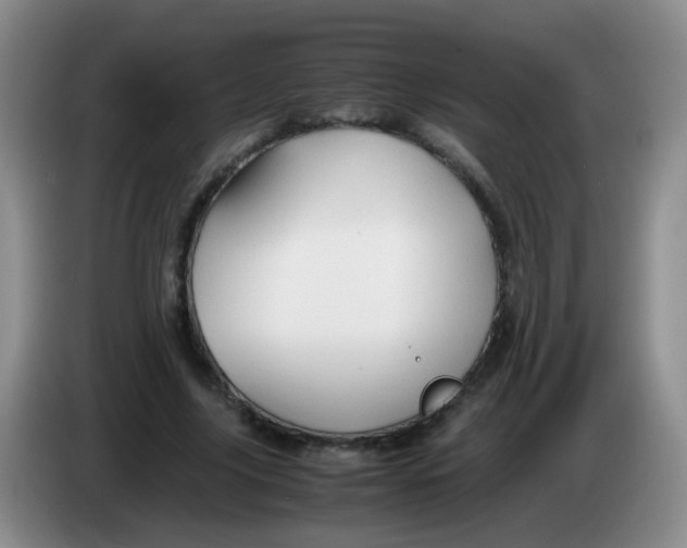 X0000083980635200703091825