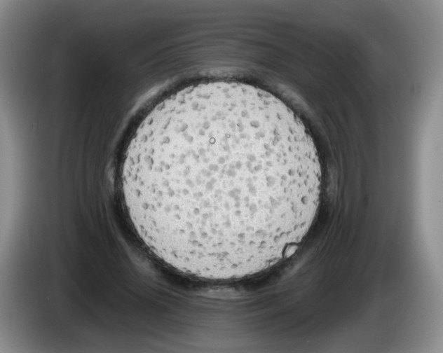 X0000083980636200703091825