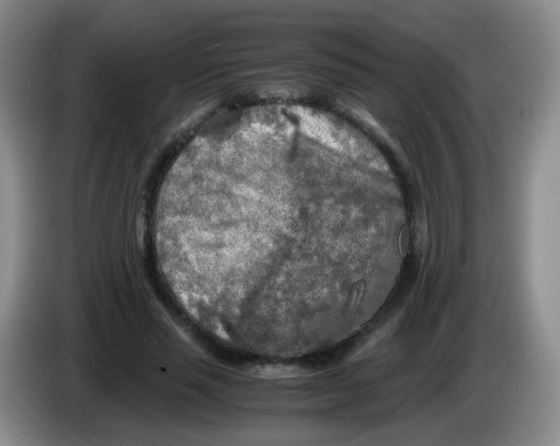 X0000083980637200703091825