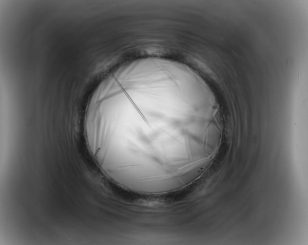 X0000083980639200703091825