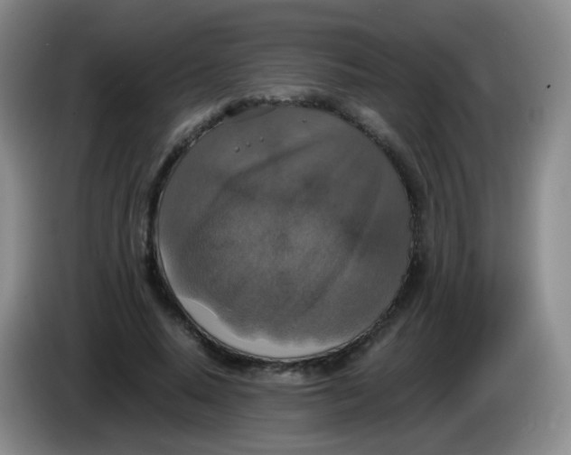 X0000083980640200703091825