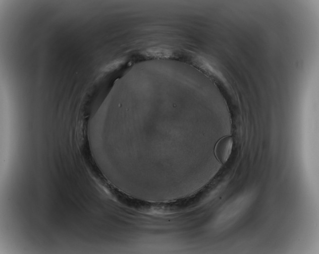 X0000083980641200703091825