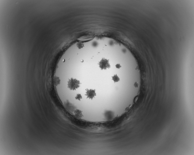 X0000083980642200703091825