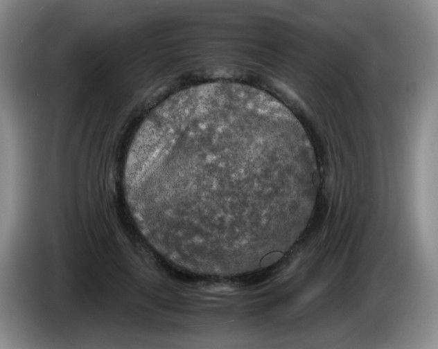 X0000083980643200703091825