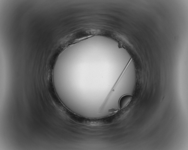 X0000083980645200703091825