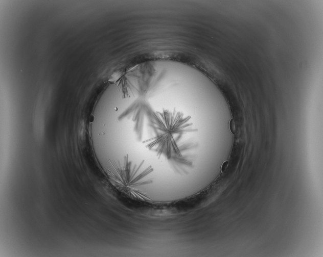 X0000083980646200703091825