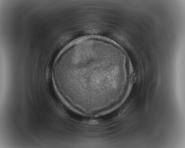 X0000083980647200703091825