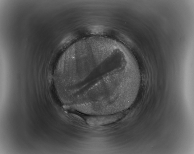 X0000083980648200703091825