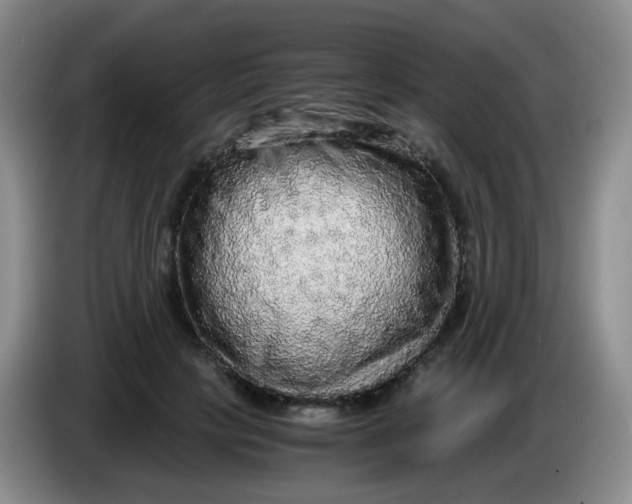 X0000083980649200703091825