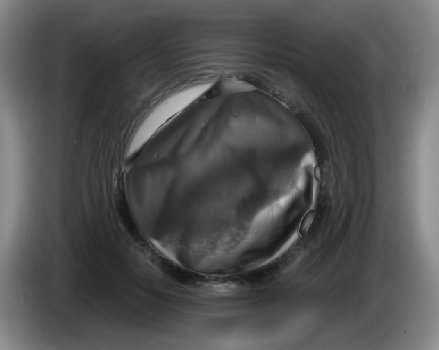 X0000083980650200703091825