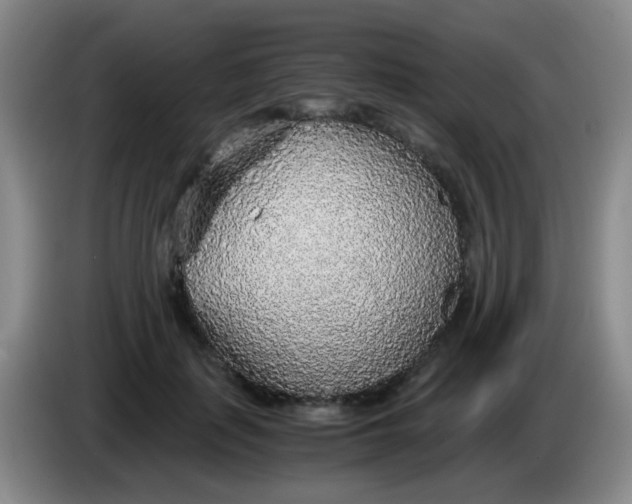 X0000083980651200703091825