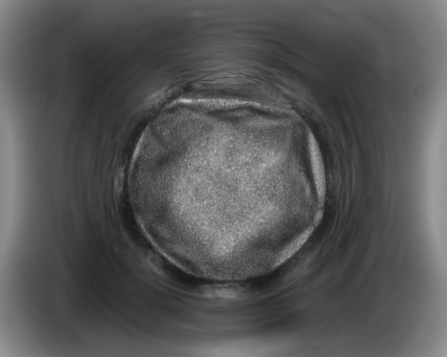 X0000083980652200703091825