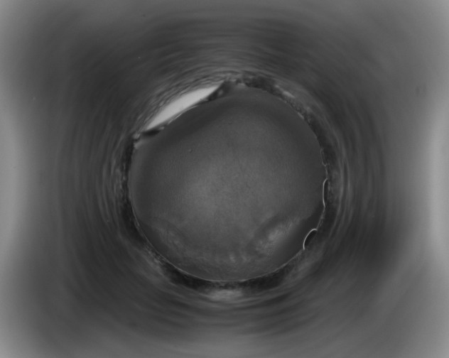 X0000083980653200703091825