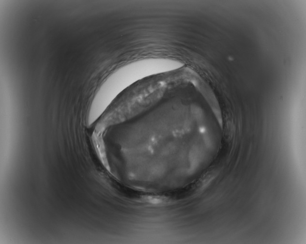 X0000083980654200703091825