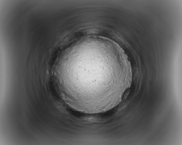 X0000083980655200703091825