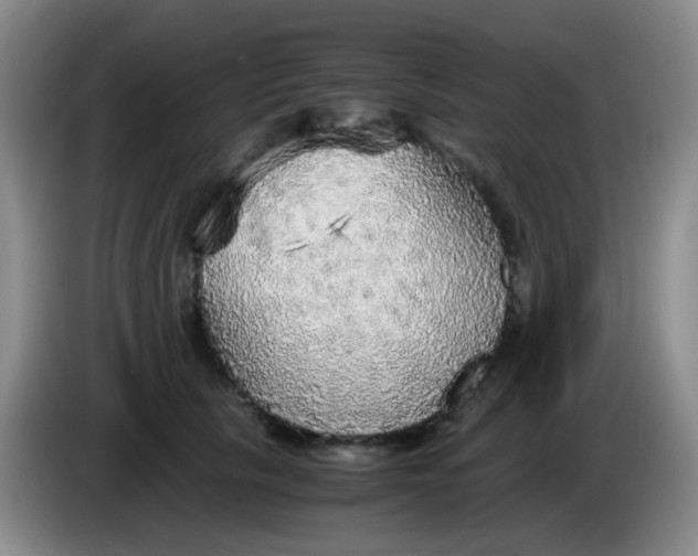 X0000083980657200703091825