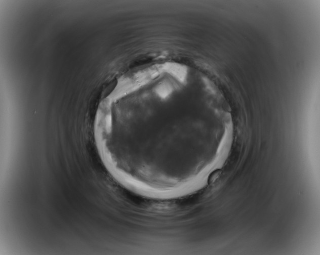 X0000083980659200703091825