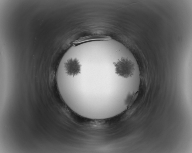 X0000083980660200703091825