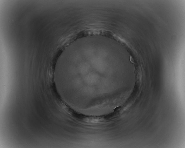 X0000083980661200703091825