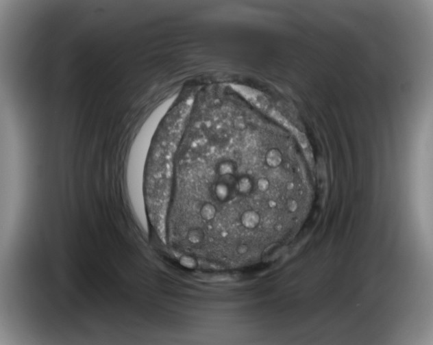 X0000083980662200703091825