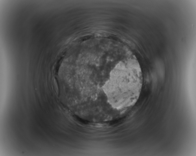 X0000083980663200703091825