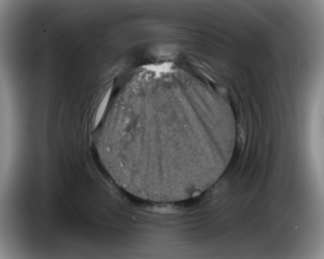 X0000083980666200703091825