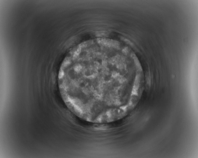 X0000083980667200703091825