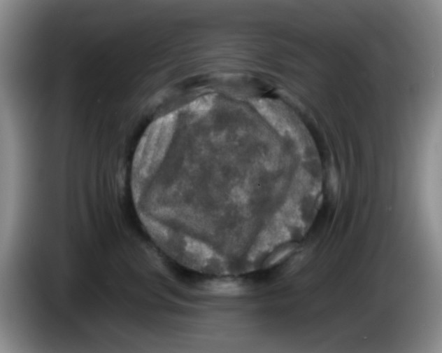 X0000083980668200703091825