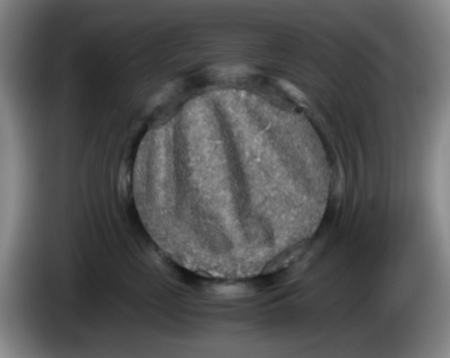 X0000083980669200703091825