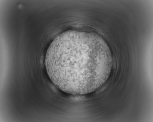 X0000083980670200703091825