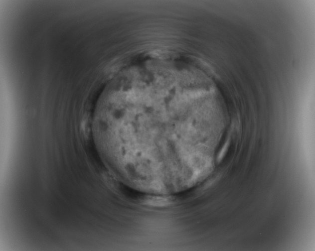 X0000083980671200703091825