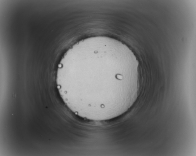 X0000083980672200703091825