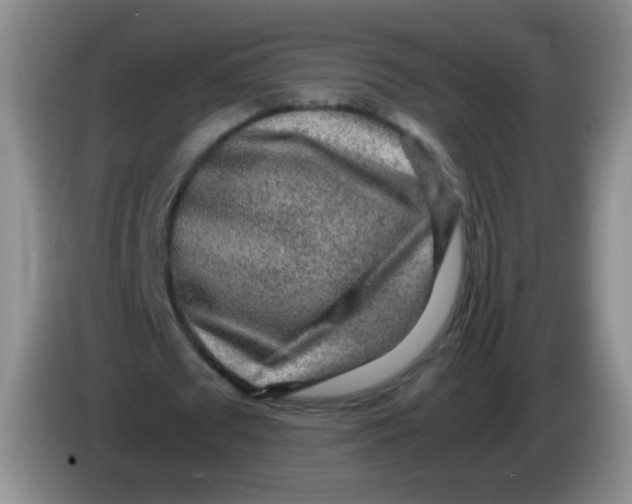 X0000083980673200703091825