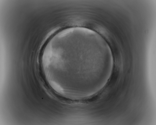 X0000083980674200703091825