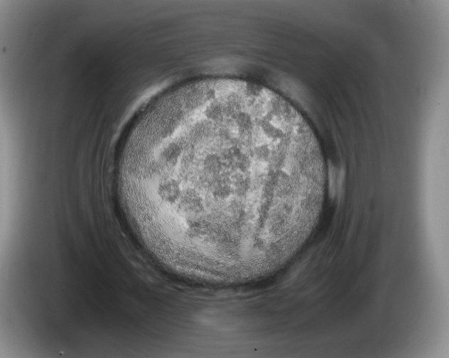 X0000083980675200703091825