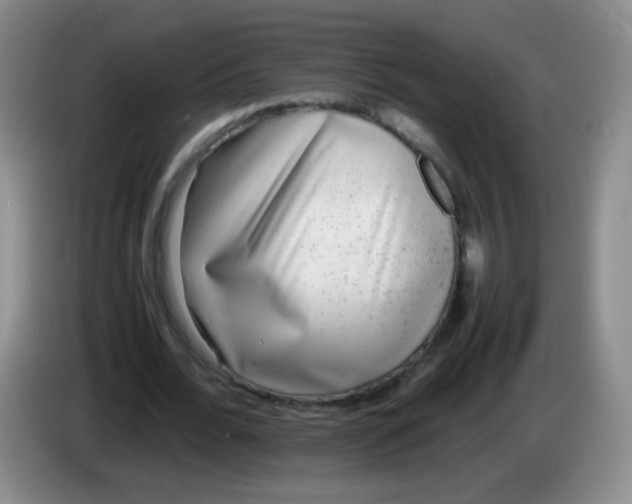 X0000083980676200703091825