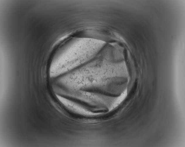 X0000083980677200703091824