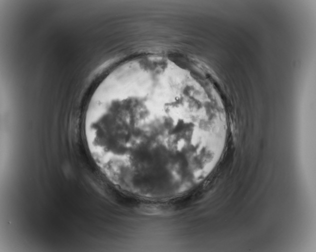 X0000083980679200703091824