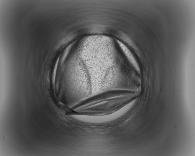 X0000083980681200703091824