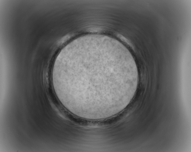 X0000083980682200703091824