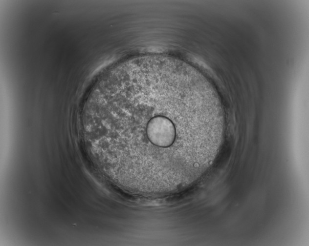 X0000083980683200703091824