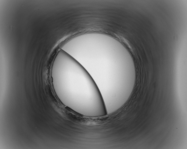 X0000083980684200703091824