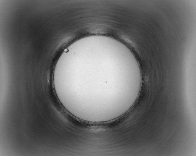 X0000083980686200703091824