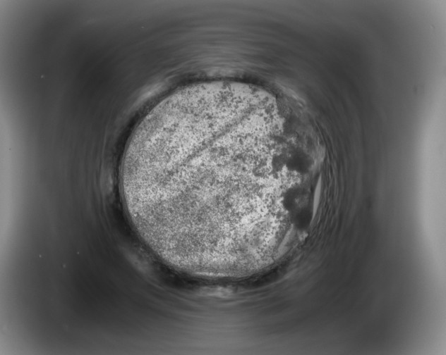 X0000083980687200703091824