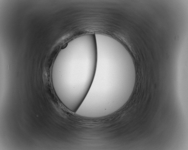 X0000083980688200703091824