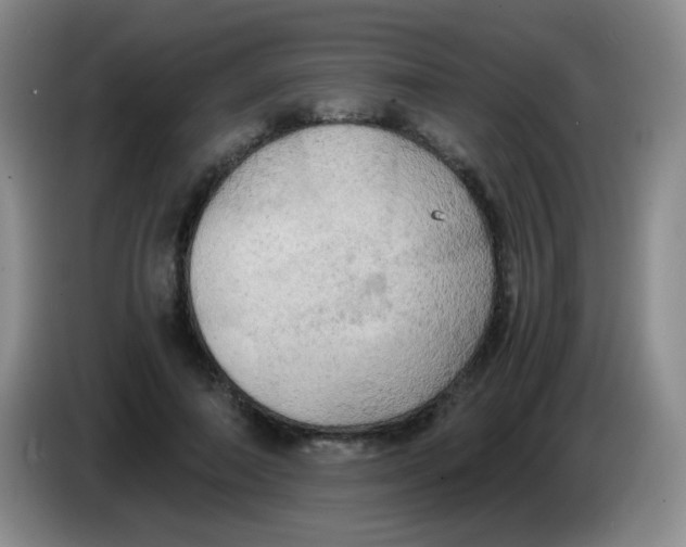 X0000083980690200703091824