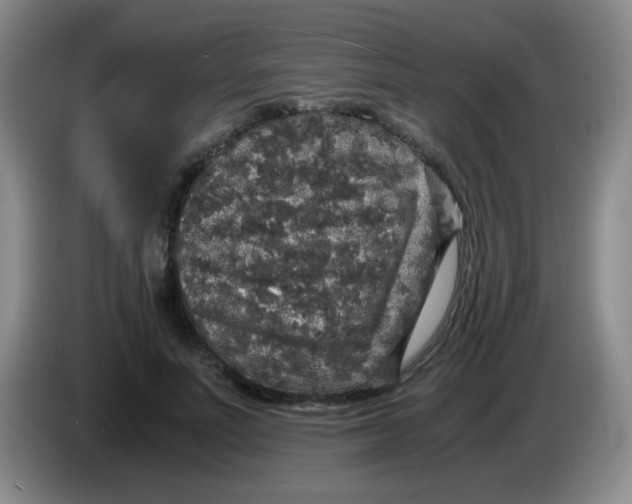 X0000083980691200703091824