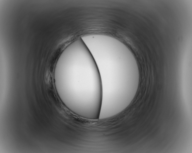 X0000083980692200703091824