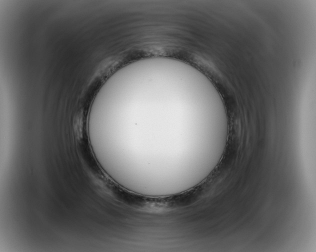 X0000083980694200703091824